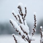 На этой неделе белорусов ожидает морозная погода