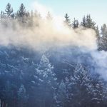 Прогноз погоды по республике на день 25 января 2019 года