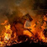 В Испании прошёл традиционный фестиваль, на котором лошади прыгали через костёр