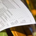 Белорусы могут онлайн рассчитать платежи по жировке по новым тарифам