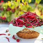 Ученые выяснили, как острый перец может спасти от неизлечимой болезни