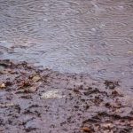 В Бразилии число погибших при прорыве дамбы возросло до 65