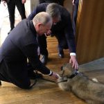 Президент Сербии подарил Владимиру Путину щенка