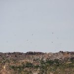 При сортировке мусора на заводе в Гродно нашли гранату