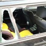 Лось протаранил легковушку под Гродно