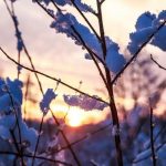 Прогноз погоды по Беларуси на 27 февраля 2019 года