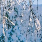 Прогноз погоды на 23 февраля 2019 года
