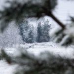 Прогноз погоды по Беларуси на 20 февраля 2019 года