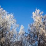 Оранжевый уровень опасности объявлен в Беларуси 28 февраля и 1 марта