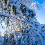 Прогноз погоды по Беларуси на 16 февраля 2019 года