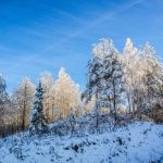 Прогноз погоды по Беларуси на 14 февраля 2019 года