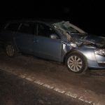 ДТП в Осиповичском районе: вызывали МЧС