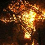 Опасность и вред весенних палов сухой растительности