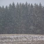 Прогноз погоды по Беларуси на день 1 марта 2019 года
