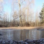 Прогноз по Беларуси на 12 марта 2019 года
