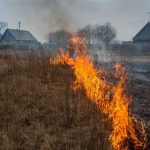 В Горецком районе пенсионер сжигал сухую траву и погиб