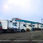 Витебские таможенники выявили попытку ввезти из России цветы без сопроводительных документов