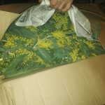 Без соответствующих документов
