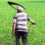 Как в фильмах ужасов. Под Молодечно человека убивали косой