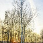 Какой сегодня праздник: 2 апреля 2019 года