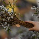 Вербное воскресенье у православных: что можно, а что нельзя 21 апреля