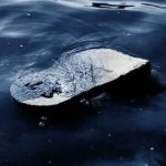 В Кричеве в реке утонули мать и дочь. Тело одной еще ищут