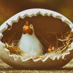Врачи рассказали, сколько яиц можно съесть на Пасху без вреда здоровью