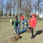 Новая аллея появилась в Парке Героев в Орше