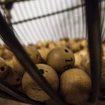 Два жителя Канады выиграли джекпот лотереи в размере $3,8 млн