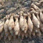 В Витебском районе спасатели приехали на пожар и нашли 36 мин