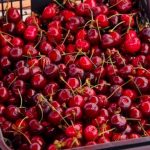 В Оршанском районе начнут производить замороженные овощи и ягоды