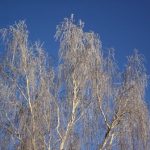 Погода на 2 апреля: грядут морозы