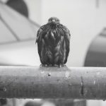 Погода на 17 апреля 2019 года: не без сюрпризов