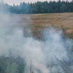 В Оршанском районе сгорело 5 тонн соломы