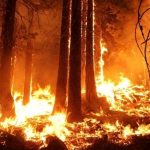В Китае бушует лесной пожар, десятки жертв