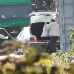 Установлено 54 эпизода в деле о незаконном обороте мака и маковой соломы в Беларуси