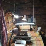 Витебчанин оборудовал в родительском доме помещение для выращивания конопли