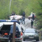 Смертельное ДТП с белорусами на Прикарпатье: раскрыта причина трагедии