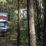 В России уничтожили 100 тонн яблок, завезенных из Беларуси «лесными тропами»