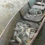 Рыбак умер на водохранилище в Барановичах