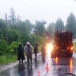 В Ушачах водитель лесовоза насмерть сбил велосипедиста