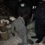 Двое жителей Оршанского района жестоко убили пенсионера