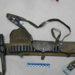 Убийцы копытных. На Брестчине будут судить 5 браконьеров