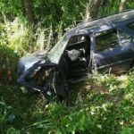 В Дрогичинском районе Peugeot врезался в дерево: пострадала водитель и 13-летняя пассажирка