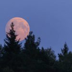 Белорусы увидят «земляничное» полнолуние