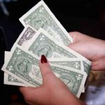 Число ИП в январе — мае 2019 года увеличилось