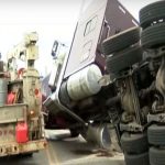 В США перевернулась фура с 133 миллионами пчел
