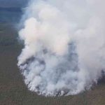 Самолет, вертолет, 120 человек. Под Пуховичами тушат лесной пожар