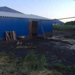 ЧП на сельхозпредприятии: трое работников упали в навоз и утонули