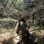 В Минобороны Беларуси опровергают информацию о войсках РФ в белорусской зоне отчуждения